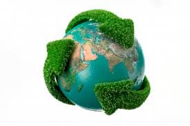 El mundo conmemora el Día Mundial del Medio Ambiente este 5 de junio