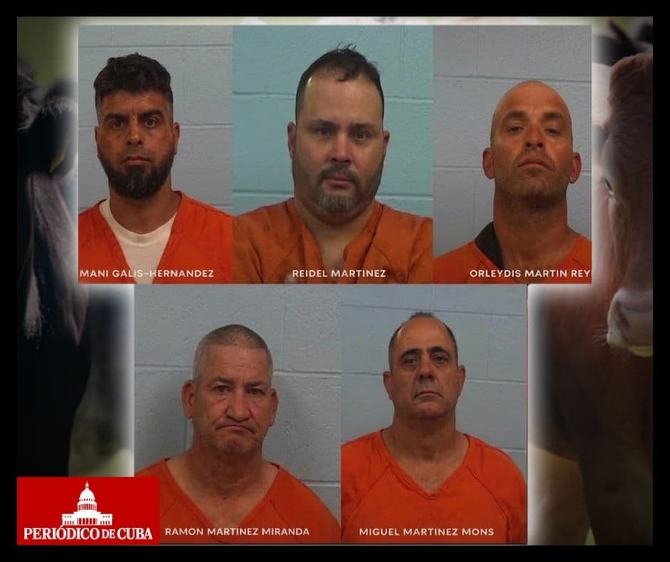 Cubanos detenidos en Texas: robo de ganado