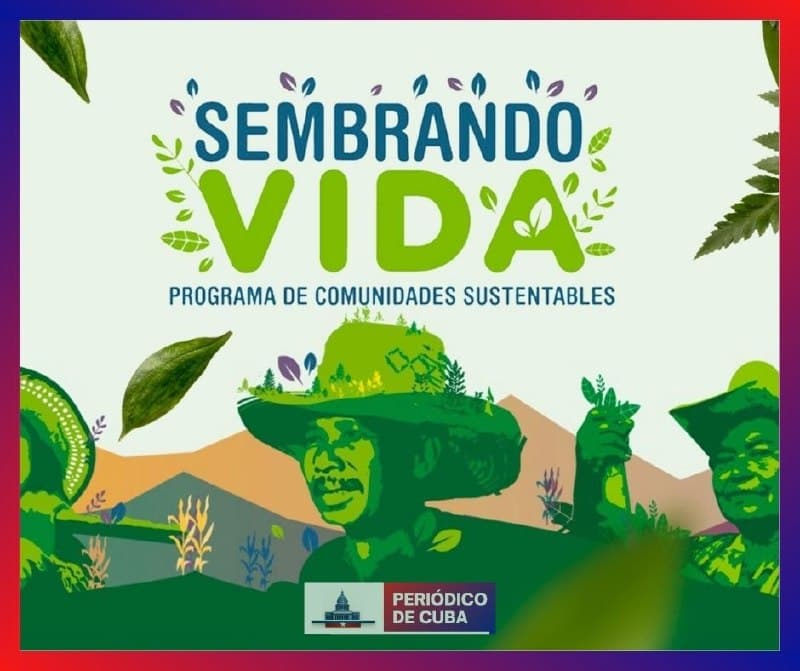 Donación de México para programa Sembrando Vida en Cuba impulsa nueva fase agrícola en la isla