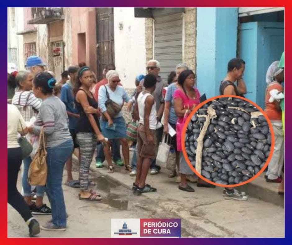 Escena viral en Cuba: ciudadanos recogen frijoles del suelo en medio de la crisis alimentaria