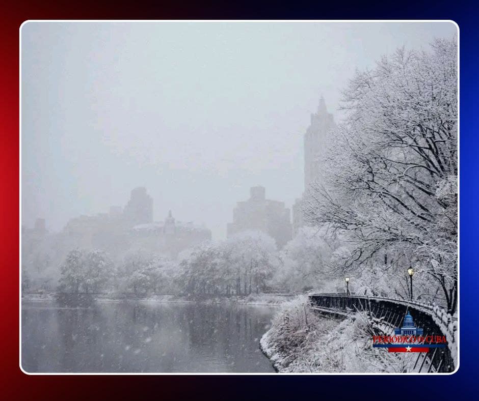 Nueva York queda paralizada por una tormenta invernal histórica con más de un pie de nieve