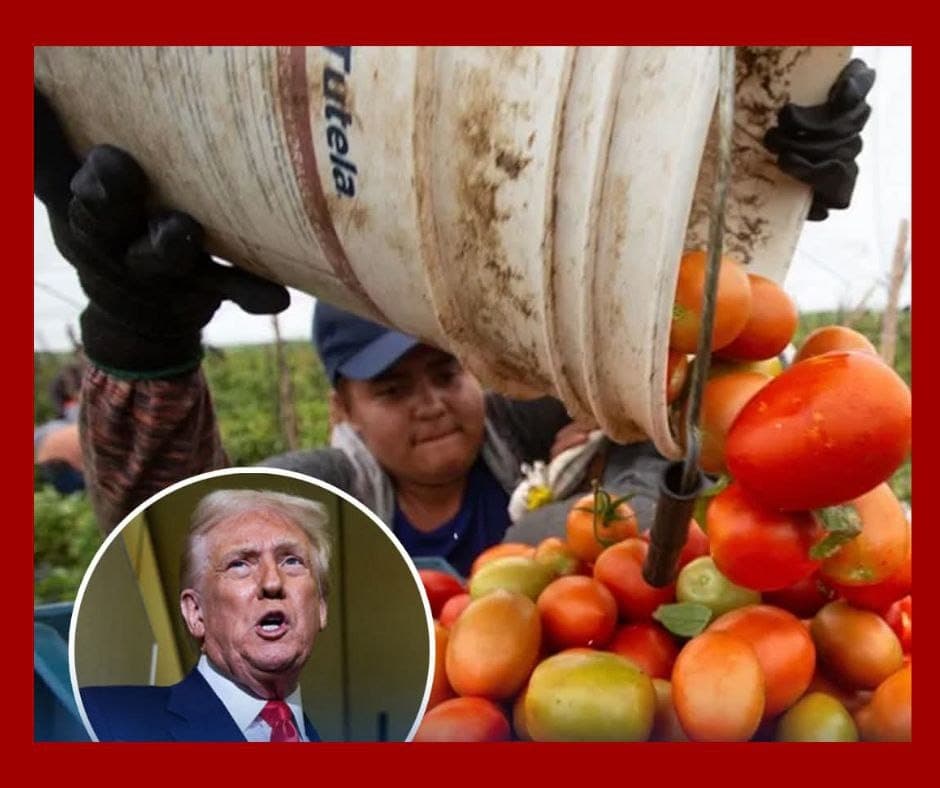 Trump suspende aranceles a productos agrícolas esenciales para bajar precios en Estados Unidos