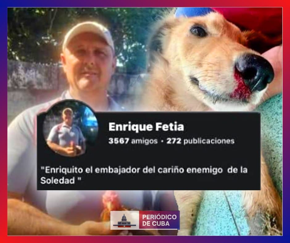 Vecinos denuncian brutal agresión a perro en Río Verde, Boyeros