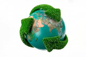 El mundo conmemora el Día Mundial del Medio Ambiente este 5 de junio