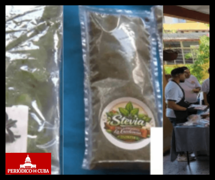 Otro experimento oficial mientras el azúcar sigue en caída en Cuba