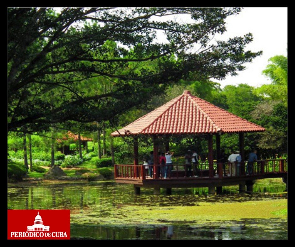 El Jardín Botánico Nacional de Cuba cierra sus puertas por falta de diésel: la crisis energética tumba hasta la ciencia