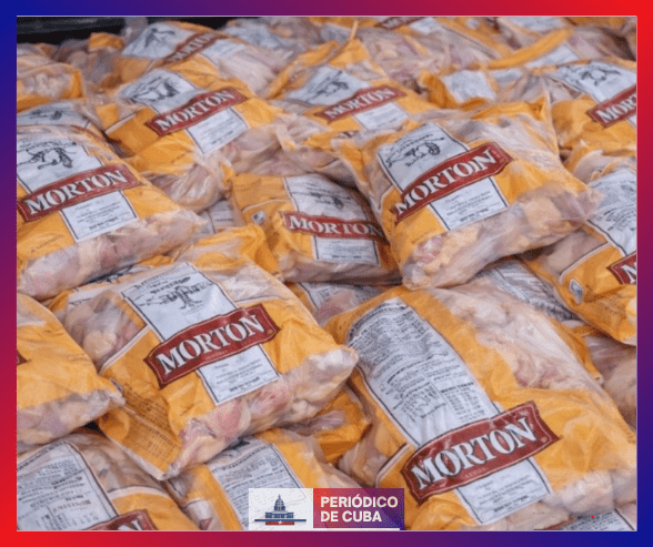 Pollo robado reaparece en Placetas en medio de la crisis alimentaria en Cuba