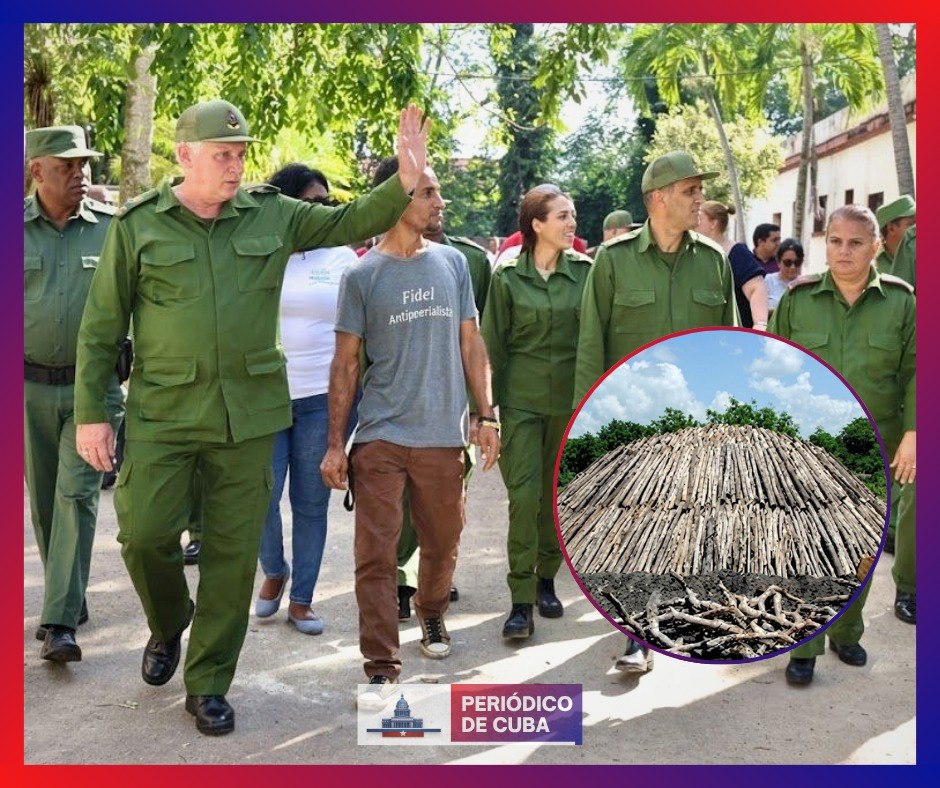 Díaz‑Canel pide garantizar carbón y leña para cocinar en La Habana