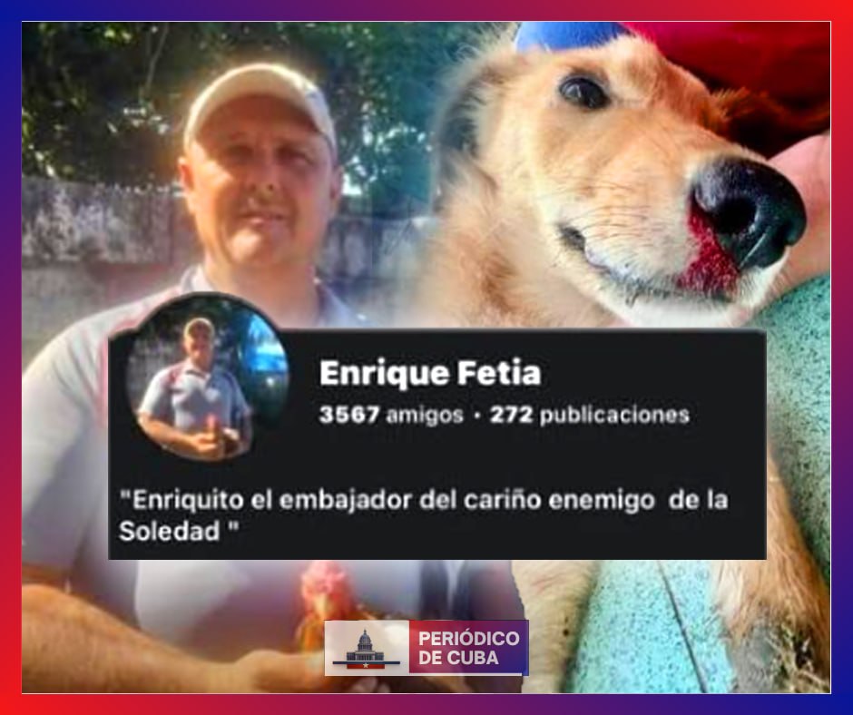 Vecinos denuncian brutal agresión a perro en Río Verde, Boyeros