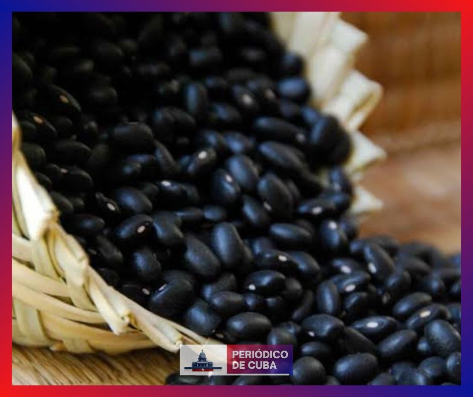 Frijoles nacionales se venden a 570 CUP en Cuba