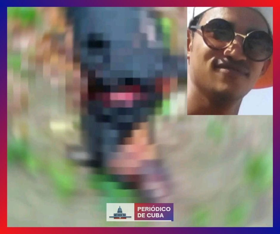 Comunidad Animalista Cubana exige justicia por asesinato de perro