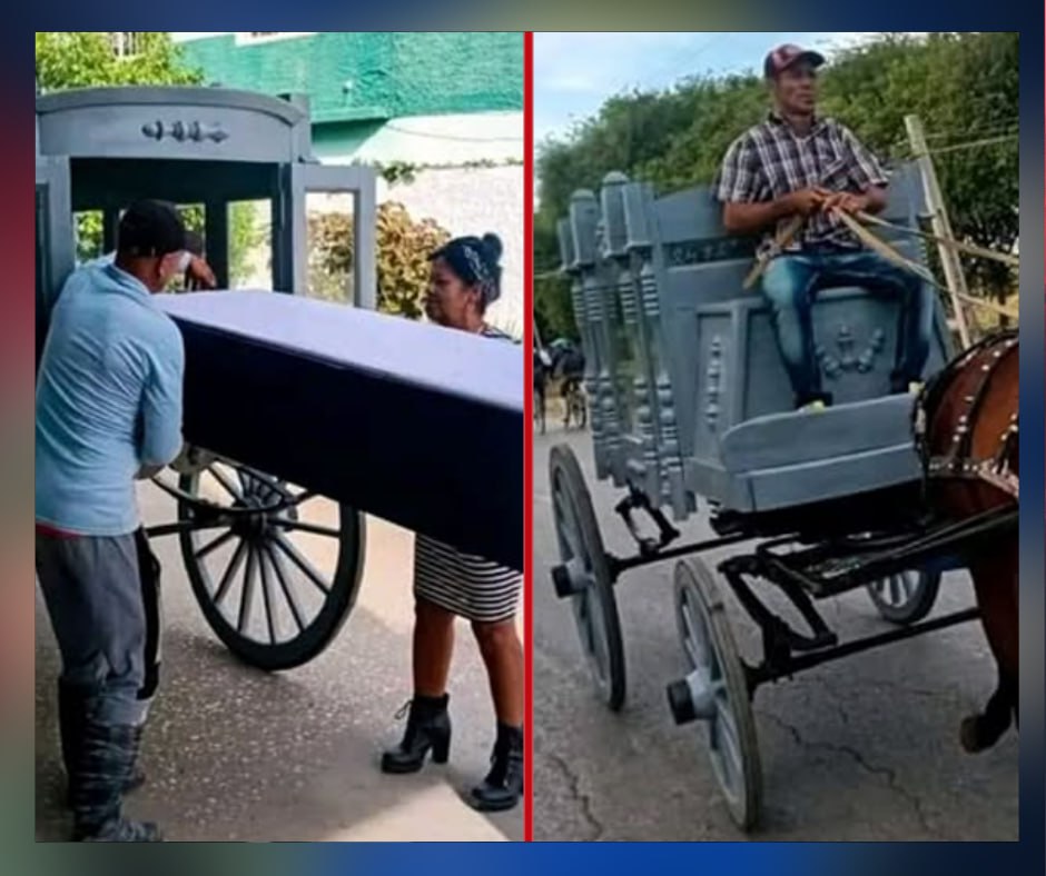 Carrozas fúnebres tiradas por caballos reaparecen en Bayamo