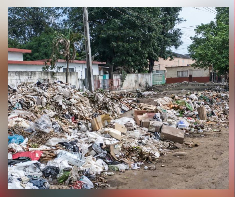 Hallan dos fetos sin vida en un contenedor de basura en Artemisa