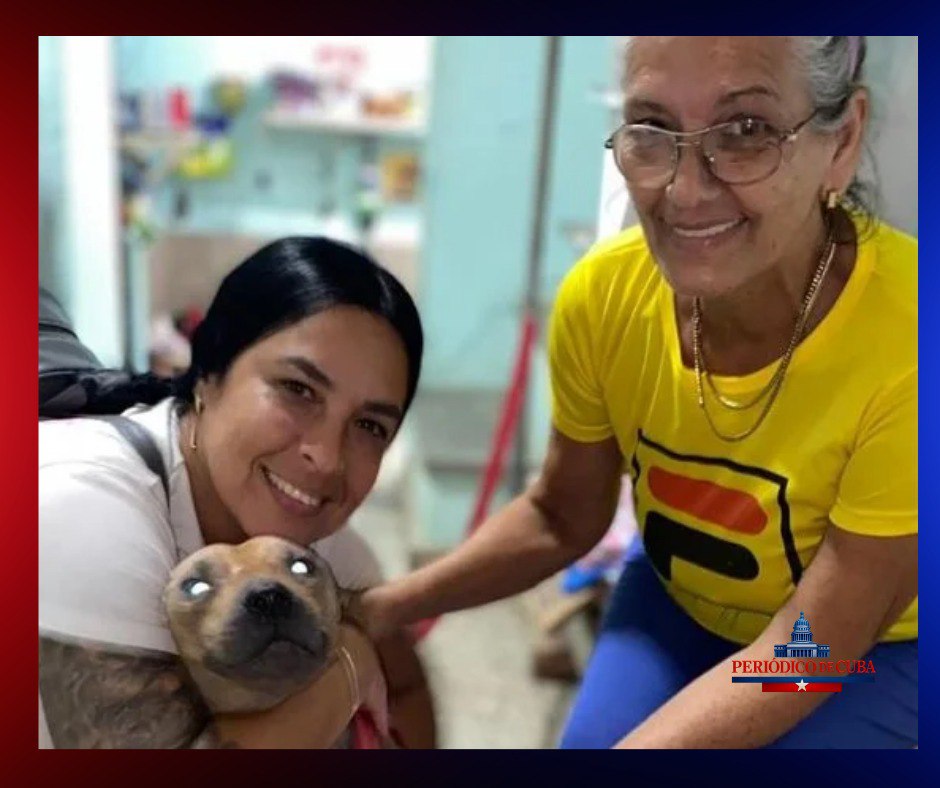 Bienestar Animal Cuba denuncia citaciones a 62 activistas mujeres por la Seguridad del Estado en La Habana