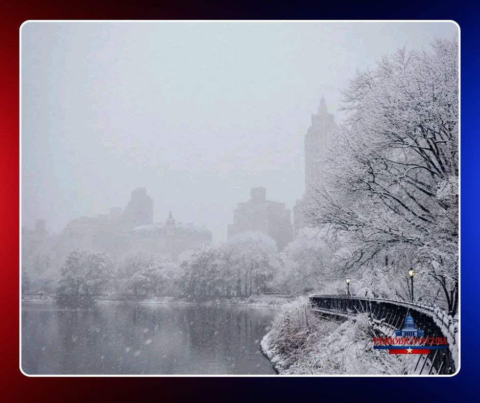 Nueva York queda paralizada por una tormenta invernal histórica con más de un pie de nieve