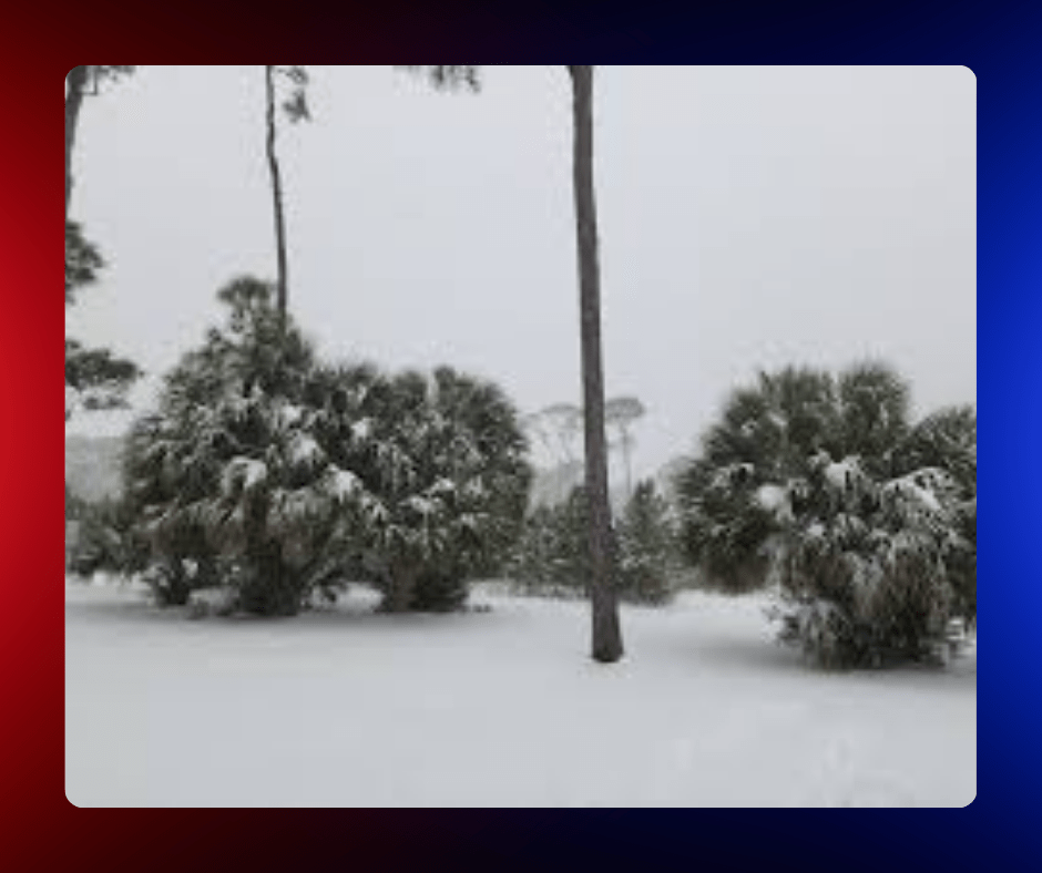 Nevada sorprende al Panhandle de Florida con acumulaciones de hasta 5 cm