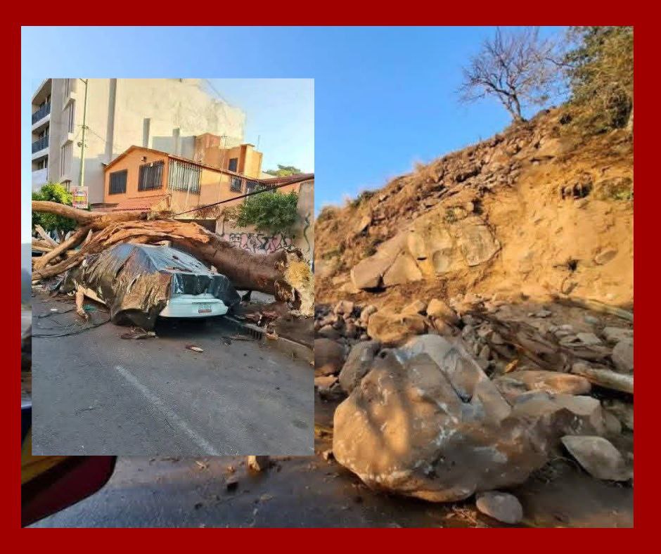 Sismo de magnitud 6.5 sacude México; alerta sísmica permitió evacuaciones masivas