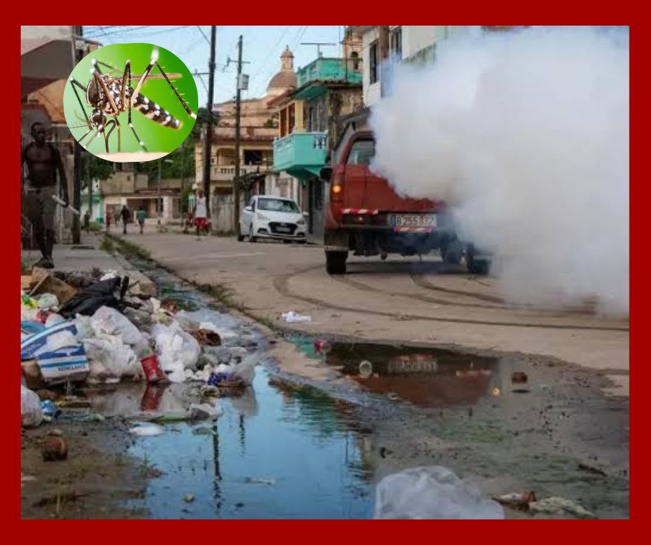 Alerta internacional por brote simultáneo de dengue y chikungunya en Cuba