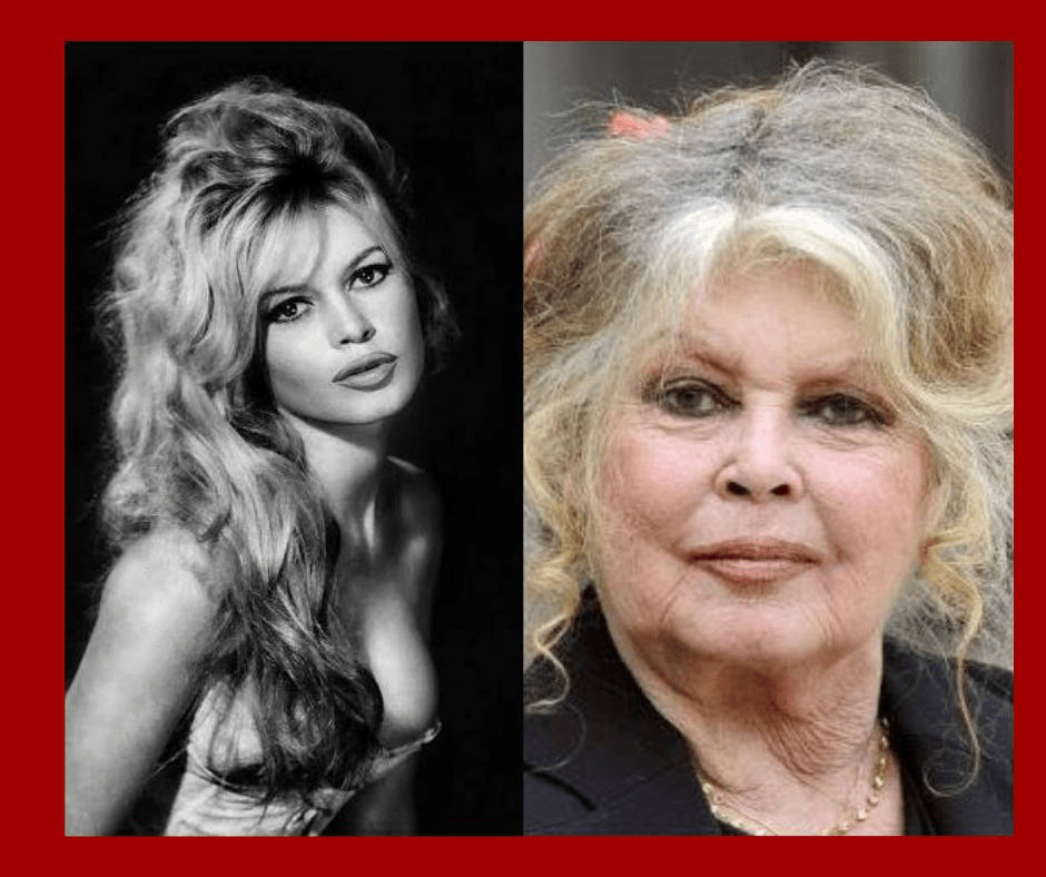 Brigitte Bardot: del mito del cine europeo a referente mundial en la defensa de los animales