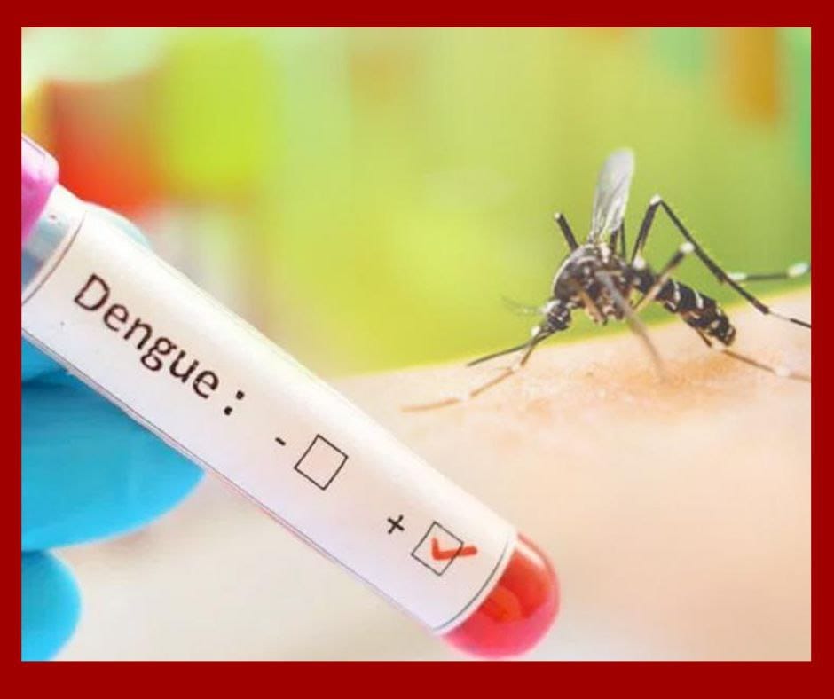 Salud en Cuba: 33 muertes por dengue y chikungunya agravan crisis epidemiológica