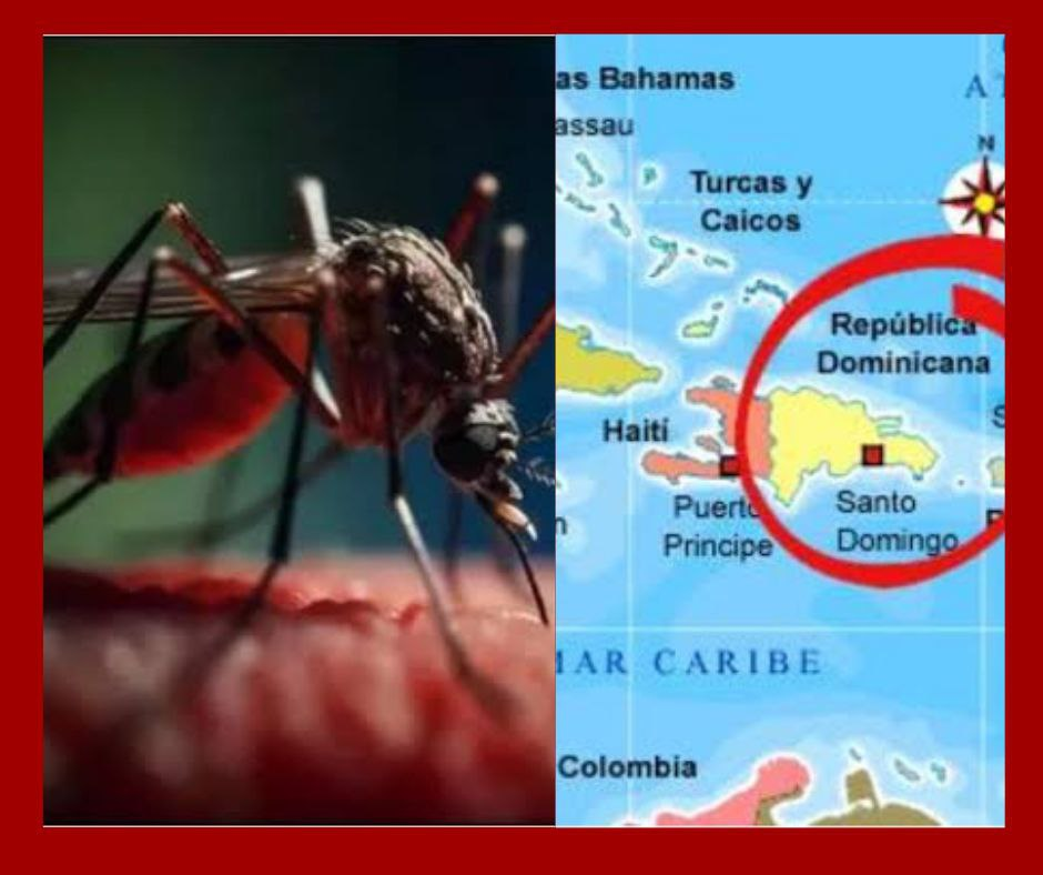 Chikungunya en República Dominicana: confirman casos importados desde Cuba y refuerzan medidas preventivas