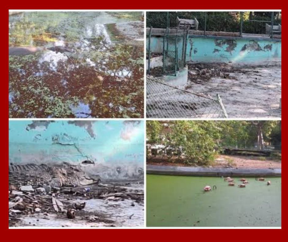Zoológicos en Cuba: ECZ admite deficiencias y abre canal de diálogo con la ciudadanía